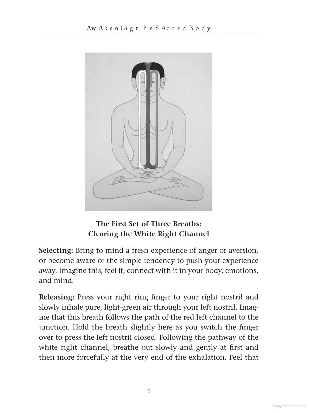 Page scan of AWAKENING THE SACRED BODY, page 4