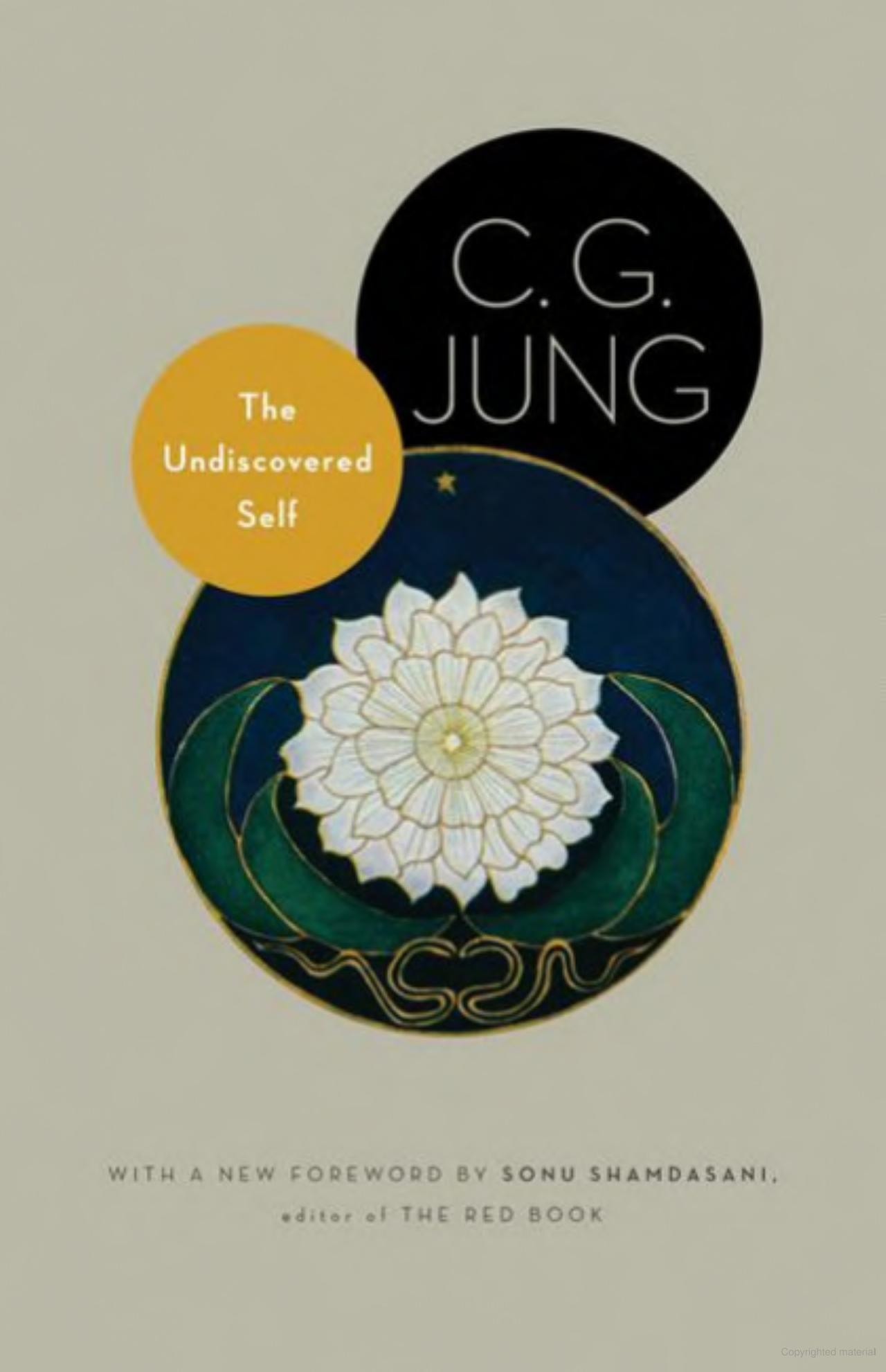 Cover of THE UNDISCOVERED SELF