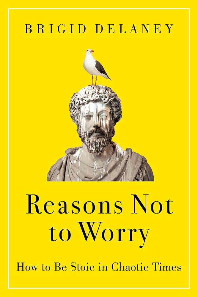 Cover of REASONS NOT TO WORRY